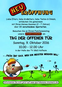 dina-6-flyer